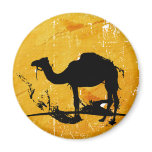 Camel magnets