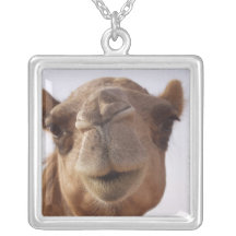 Camel Necklace