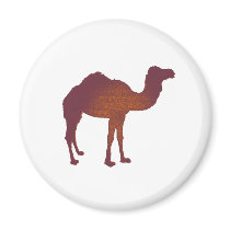 CAMEL of ARABIA