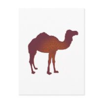 CAMEL of ARABIA