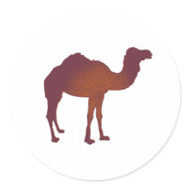 CAMEL of ARABIA