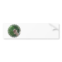 Camel Photo Design Bumper Sticker