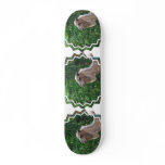Camel Photo Design Skateboard