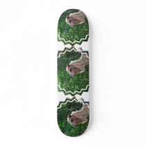 Camel Photo Design Skateboard