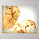 Camel Print