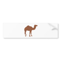 Camel Prodigy