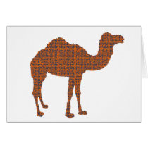 Camel Prodigy