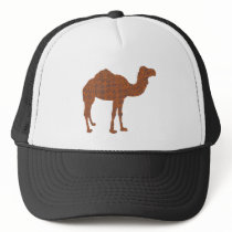 Camel Prodigy