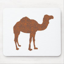 Camel Prodigy
