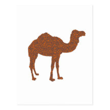 Camel Prodigy Post Card