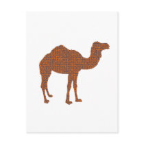 Camel Prodigy