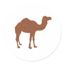 Camel Prodigy