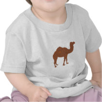 Camel Prodigy