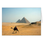 camel pyramids cards