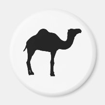 Camel Refrigerator Magnet