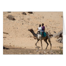 Camel Rider Cards