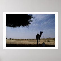 Camel Silhouette Print