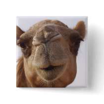 Camel Square Pin
