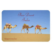 Camel Train, Thar Desert Magnet