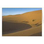 Camel trek greeting cards