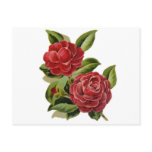 Camellia #1 postcard