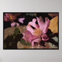 Camellia Art Poster