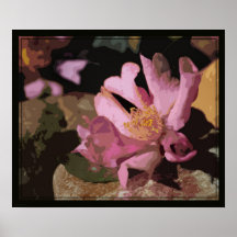 Camellia Art Print