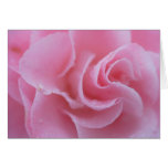 Camellia Card