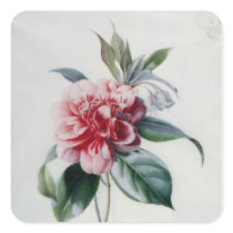 Camellia Square Sticker