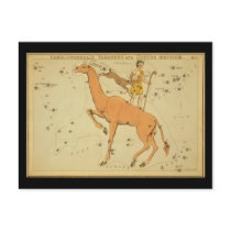 Camelopardalis, Tarandus and Custos Messium