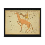 Camelopardalis, Tarandus and Custos Messium postcards