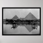 Camels and Pyramids in Egypt 1899 posters