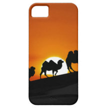 Camels at sunset iPhone 5 cases