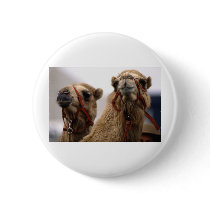 Camels Buttons