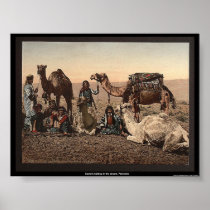 Camels halting in the desert, Palestine