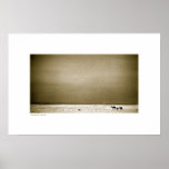Camels in Jordan Desert (sepia) posters