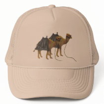 Camels in the desert Cap Hats