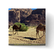 Camels in the desert of Wadi Rum, Jordan Desert Pinback Button
