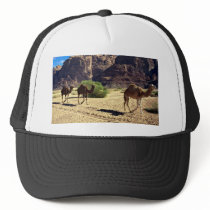 Camels in the desert of Wadi Rum, Jordan Desert Hats