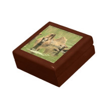 Camels Yum Trinket Boxes