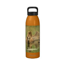 Camels Yum Water Bottle