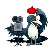 Cameraman Crow Acrylic Cut Out