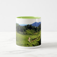 Cameron Highlands Tea Coffee Mugs