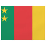 Cameroon Old Flag flyers