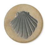 Camino de Santiago magnets