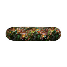 Cammo skate board