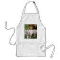 CamNzabu030 aprons