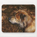camoflauge companion mouse pads