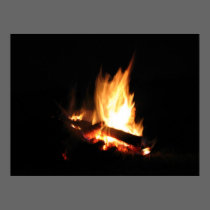 camp fire beauty posters