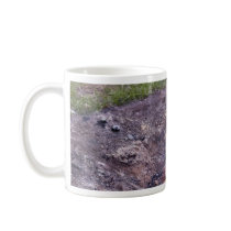 Camp Fires Mug